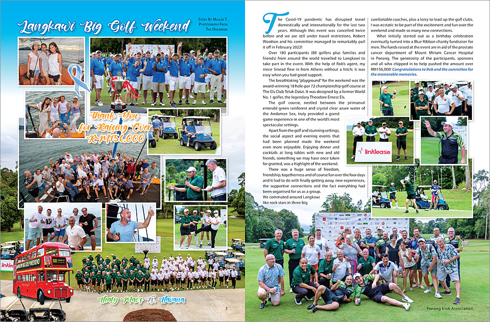 Irish Insights, May 2020, Issue 15