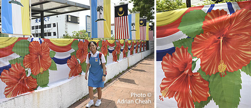 Bunga Raya © Adrian Cheah