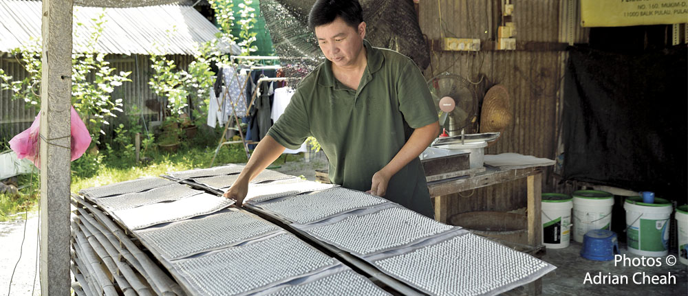 bedak sejuk © Adrian Cheah