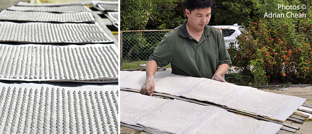 bedak sejuk © Adrian Cheah