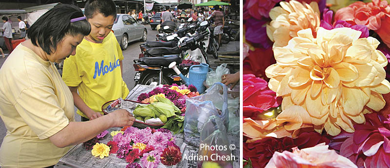 floral bath © Adrian Cheah