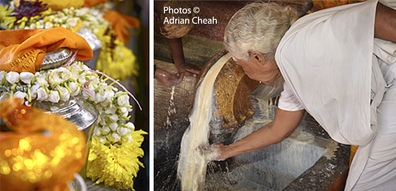 Thaipusam © Adrian Cheah