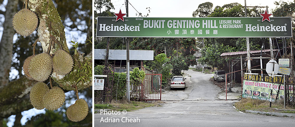 Bukit Genting © Adrian Cheah