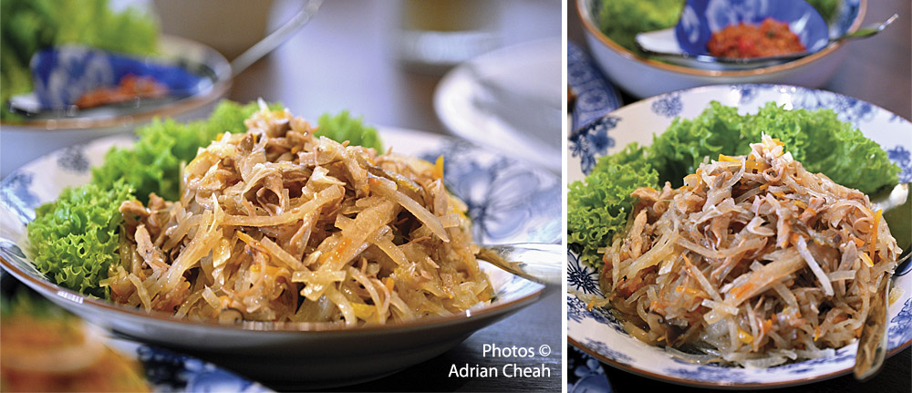 Auntie Gaik Lean - ji hu char; photo © Adrian Cheah