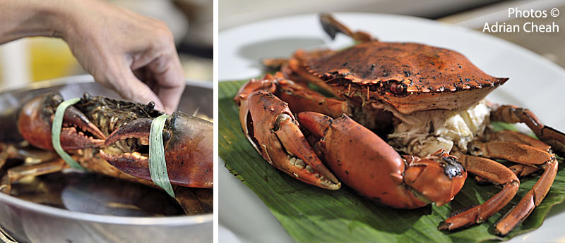 Da Shu Xia Seafood House © Adrian Cheah