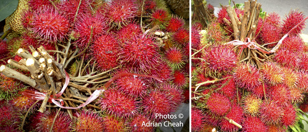 Penang rambutan © Adrian Cheah