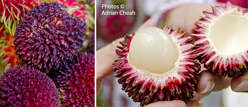 Penang rambutans © Adrian Cheah