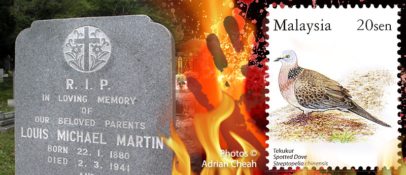 Emily © Adrian Cheah