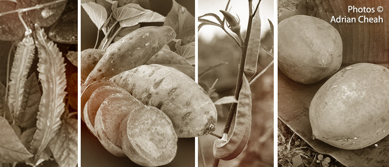 Emily © Adrian Cheah