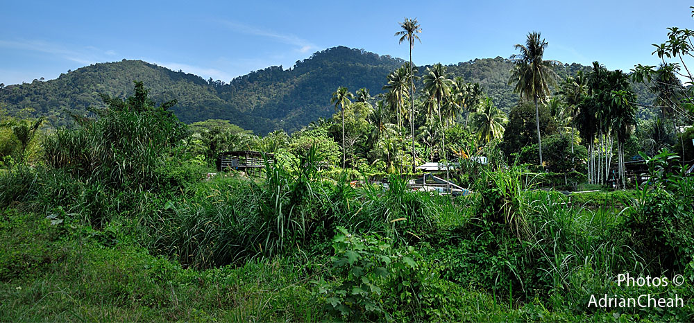  forgotten colonial dams © Adrian Cheah