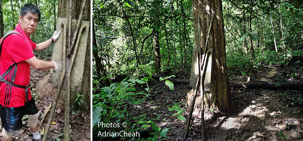  forgotten colonial dams © Adrian Cheah