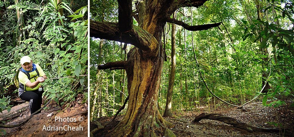  forgotten colonial dams © Adrian Cheah