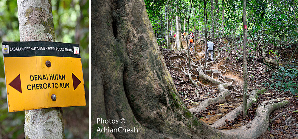  forgotten colonial dams © Adrian Cheah