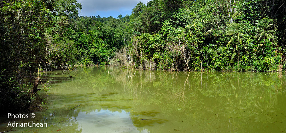  forgotten colonial dams © Adrian Cheah