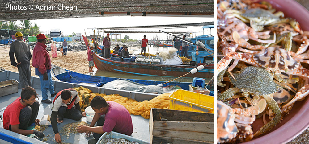 Kuala Muda whispering market © Adrian Cheah