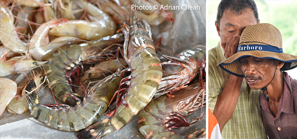 Kuala Muda whispering market © Adrian Cheah