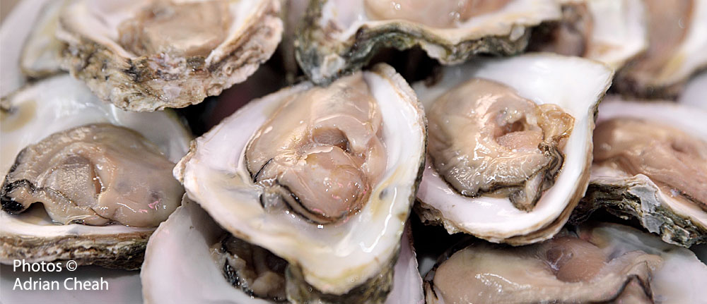 Penang oyster farm © Adrian Cheah