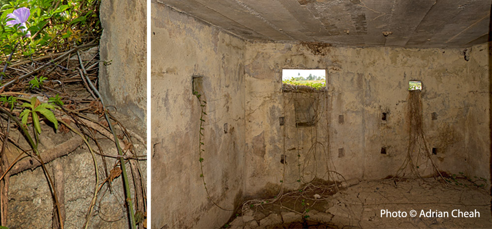 military pillbox © Adrian Cheah
