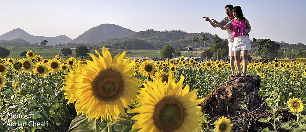 Khao Yai © Adrian Cheah