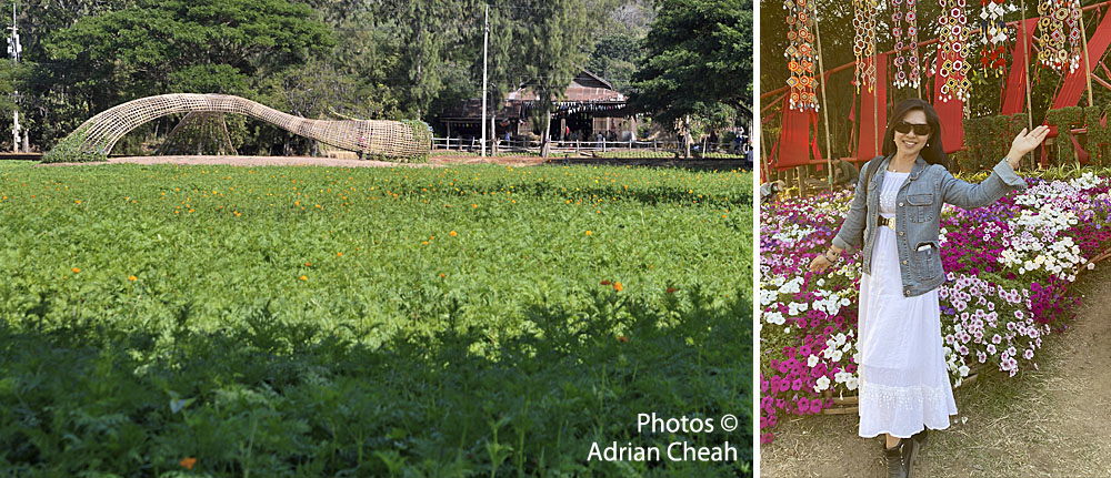 Khao Yai © Adrian Cheah
