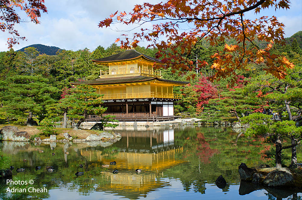 Kinkaku-ji © Adrian Cheah