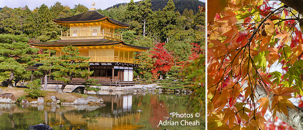 Kinkaku-ji © Adrian Cheah