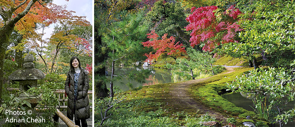 Kinkaku-ji © Adrian Cheah